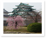 japan essays