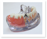 dentistry essay