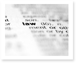 tort law essay