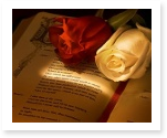 Shakespeare essay