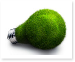 compact fluorescent light bulbs