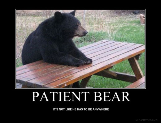 patient_bear