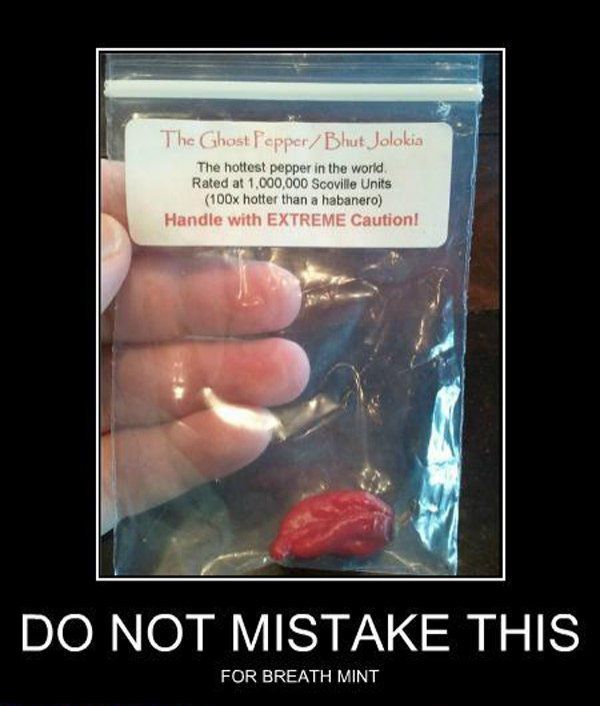 do_not_mistake_this