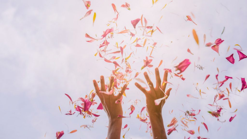 Female's hand throwing flower petals against sky in sunlight.